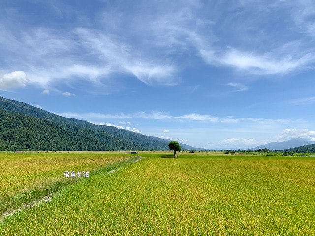 米膚評價,Reise米膚評價,米膚乳液評價,米膚乳液好用嗎,不挑膚質身體乳液推薦,敏感肌身體乳液分享,天然溫和身體乳液分享,純淨成分身體乳液分享,MIT保養品牌推薦,好吸收身體乳液分享,孕婦身體乳液分享,清新香氣身體乳液分享,不刺激身體乳液分享,reise米膚dcard,reise米膚ptt,好吸收乳液,保濕身體乳液推薦dcard,不黏膩身體乳液dcard,平價身體乳液推薦dcard,香氛身體乳液推薦dcard,mit 乳液,mit保養品推薦,米糠保養品,無印良品米糠dcard,無印良品米糠ptt,muji米糠