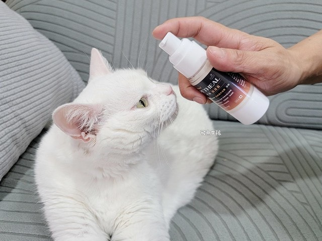  可沛寵藥評價,可沛寵護霜評價,可沛寵護霜好用嗎,寵物萬用膏分享,敏感肌寵物必備分享,寵物居家萬用膏推薦,寵物必備萬用膏推薦,外泌體寵物萬用膏,換季必備寵物萬用膏,蚊蟲叮咬寵物萬用膏,腳掌龜裂寵物萬用膏,滋潤保濕寵物萬用膏,可沛寵藥ptt,可沛好安心,寵物萬用軟膏,寵物萬用軟膏dcard,寵物藥膏哪裡買,貓咪外傷藥膏dcard,貓咪外傷藥膏ptt,貓咪可以擦人類的藥嗎