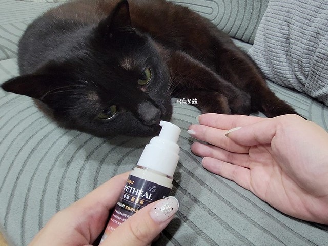  可沛寵藥評價,可沛寵護霜評價,可沛寵護霜好用嗎,寵物萬用膏分享,敏感肌寵物必備分享,寵物居家萬用膏推薦,寵物必備萬用膏推薦,外泌體寵物萬用膏,換季必備寵物萬用膏,蚊蟲叮咬寵物萬用膏,腳掌龜裂寵物萬用膏,滋潤保濕寵物萬用膏,可沛寵藥ptt,可沛好安心,寵物萬用軟膏,寵物萬用軟膏dcard,寵物藥膏哪裡買,貓咪外傷藥膏dcard,貓咪外傷藥膏ptt,貓咪可以擦人類的藥嗎