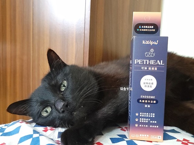  可沛寵藥評價,可沛寵護霜評價,可沛寵護霜好用嗎,寵物萬用膏分享,敏感肌寵物必備分享,寵物居家萬用膏推薦,寵物必備萬用膏推薦,外泌體寵物萬用膏,換季必備寵物萬用膏,蚊蟲叮咬寵物萬用膏,腳掌龜裂寵物萬用膏,滋潤保濕寵物萬用膏,可沛寵藥ptt,可沛好安心,寵物萬用軟膏,寵物萬用軟膏dcard,寵物藥膏哪裡買,貓咪外傷藥膏dcard,貓咪外傷藥膏ptt,貓咪可以擦人類的藥嗎