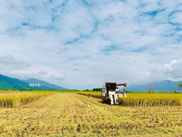米膚評價,Reise米膚評價,米膚乳液評價,米膚乳液好用嗎,不挑膚質身體乳液推薦,敏感肌身體乳液分享,天然溫和身體乳液分享,純淨成分身體乳液分享,MIT保養品牌推薦,好吸收身體乳液分享,孕婦身體乳液分享,清新香氣身體乳液分享,不刺激身體乳液分享,reise米膚dcard,reise米膚ptt,好吸收乳液,保濕身體乳液推薦dcard,不黏膩身體乳液dcard,平價身體乳液推薦dcard,香氛身體乳液推薦dcard,mit 乳液,mit保養品推薦,米糠保養品,無印良品米糠dcard,無印良品米糠ptt,muji米糠