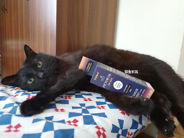  可沛寵藥評價,可沛寵護霜評價,可沛寵護霜好用嗎,寵物萬用膏分享,敏感肌寵物必備分享,寵物居家萬用膏推薦,寵物必備萬用膏推薦,外泌體寵物萬用膏,換季必備寵物萬用膏,蚊蟲叮咬寵物萬用膏,腳掌龜裂寵物萬用膏,滋潤保濕寵物萬用膏,可沛寵藥ptt,可沛好安心,寵物萬用軟膏,寵物萬用軟膏dcard,寵物藥膏哪裡買,貓咪外傷藥膏dcard,貓咪外傷藥膏ptt,貓咪可以擦人類的藥嗎