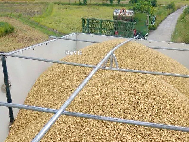 米膚評價,Reise米膚評價,米膚乳液評價,米膚乳液好用嗎,不挑膚質身體乳液推薦,敏感肌身體乳液分享,天然溫和身體乳液分享,純淨成分身體乳液分享,MIT保養品牌推薦,好吸收身體乳液分享,孕婦身體乳液分享,清新香氣身體乳液分享,不刺激身體乳液分享,reise米膚dcard,reise米膚ptt,好吸收乳液,保濕身體乳液推薦dcard,不黏膩身體乳液dcard,平價身體乳液推薦dcard,香氛身體乳液推薦dcard,mit 乳液,mit保養品推薦,米糠保養品,無印良品米糠dcard,無印良品米糠ptt,muji米糠