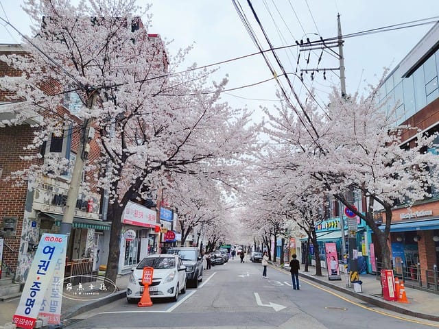 2025韓國櫻花開花預測,2025韓國櫻花花期,2025韓國櫻花季節,2025韓國櫻花開花時間,2025韓國櫻花,2025首爾櫻花開花預測,2025韓國各地櫻花開花日期,2025韓國賞櫻行程規劃,2025韓國櫻花預測,2025櫻花預測,韓國櫻花季2025,韓國櫻花花期,韓國櫻花首爾,韓國櫻花時間,首爾櫻花現況,首爾賞櫻自由行,首爾賞櫻,首爾4月櫻花,韓國櫻花預測2025,2025釜山櫻花預測,首爾六天五夜,首爾林smtown,首爾6天5夜自由行,首爾6天5夜,韓國賞櫻景點推薦,首爾賞櫻景點推薦,首爾哪裡有櫻花首爾 櫻花季,首爾林櫻花 2025韓國櫻花開花預測,2025韓國櫻花花期,2025韓國櫻花季節,2025韓國櫻花開花時間,2025韓國櫻花,2025首爾櫻花開花預測,2025韓國各地櫻花開花日期,2025韓國賞櫻行程規劃,2025韓國櫻花預測,2025櫻花預測,韓國櫻花季2025,韓國櫻花花期,韓國櫻花首爾,韓國櫻花時間,首爾櫻花現況,首爾賞櫻自由行,首爾賞櫻,首爾4月櫻花,韓國櫻花預測2025,2025釜山櫻花預測,首爾六天五夜,首爾林smtown,首爾6天5夜自由行,首爾6天5夜,韓國賞櫻景點推薦,首爾賞櫻景點推薦,首爾哪裡有櫻花首爾 櫻花季,首爾林櫻花