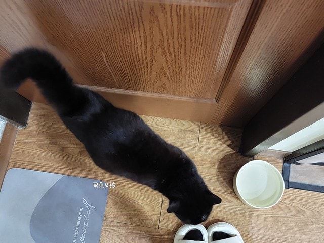 鱷魚蚊香評價,鱷魚防蚊戰士評價,鱷魚防蚊戰士好用嗎,長效驅蚊噴霧分享,無味驅蚊噴霧分享,超好用驅蚊噴霧分享,孩童驅蚊噴霧分享,寵物驅蚊噴霧分享,環保署認證驅蚊噴霧分享,日本技術驅蚊噴霧分享,台灣製造驅蚊噴霧分享,露營驅蚊好物分享,鱷魚蚊香ptt,鱷魚電蚊香dcard,液體電蚊香推薦ptt,液體電蚊香推薦dcard,防蚊噴霧可以托運嗎,防蚊噴霧推薦,防蚊噴霧ptt,室內防蚊噴霧ptt,防蚊液推薦dcard,小黑蚊防蚊液推薦dcard