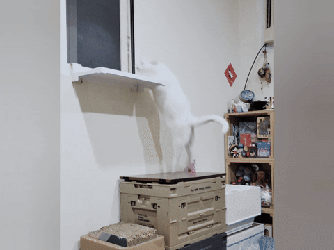 奧沛,OurPet,寵物活力充沛,跟著飼料丟一顆,適口性極好,0化學添加,CP質高,狗狗關節保健食品推薦,貓咪關節保健食品推薦,貓咪關節保養,貓用關節營養品,貓咪關節健康,OurPet貓用關沛錠,葡萄糖胺貓咪,貓咪關節保健ptt,貓咪關節保健dcard,老貓 保健食品 Dcard,貓咪關節炎治療費用,貓關節保健食品,奧沛貓用關沛錠,貓用關沛錠,奧沛評價,貓咪關節推薦,老貓維骨力,貓咪維骨力,貓咪軟骨素推薦,貓維骨力,貓用維骨力,寵物 軟骨素