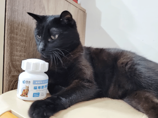 奧沛,OurPet,寵物活力充沛,跟著飼料丟一顆,適口性極好,0化學添加,CP質高,狗狗關節保健食品推薦,貓咪關節保健食品推薦,貓咪關節保養,貓用關節營養品,貓咪關節健康,OurPet貓用關沛錠,葡萄糖胺貓咪,貓咪關節保健ptt,貓咪關節保健dcard,老貓 保健食品 Dcard,貓咪關節炎治療費用,貓關節保健食品,奧沛貓用關沛錠,貓用關沛錠,奧沛評價,貓咪關節推薦,老貓維骨力,貓咪維骨力,貓咪軟骨素推薦,貓維骨力,貓用維骨力,寵物 軟骨素