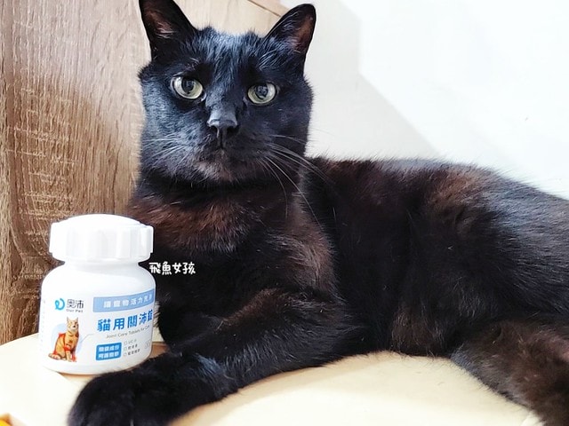 奧沛,OurPet,寵物活力充沛,跟著飼料丟一顆,適口性極好,0化學添加,CP質高,狗狗關節保健食品推薦,貓咪關節保健食品推薦,貓咪關節保養,貓用關節營養品,貓咪關節健康,OurPet貓用關沛錠,葡萄糖胺貓咪,貓咪關節保健ptt,貓咪關節保健dcard,老貓 保健食品 Dcard,貓咪關節炎治療費用,貓關節保健食品,奧沛貓用關沛錠,貓用關沛錠,奧沛評價,貓咪關節推薦,老貓維骨力,貓咪維骨力,貓咪軟骨素推薦,貓維骨力,貓用維骨力,寵物 軟骨素
