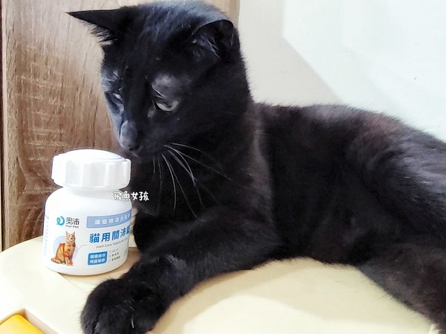 奧沛,OurPet,寵物活力充沛,跟著飼料丟一顆,適口性極好,0化學添加,CP質高,狗狗關節保健食品推薦,貓咪關節保健食品推薦,貓咪關節保養,貓用關節營養品,貓咪關節健康,OurPet貓用關沛錠,葡萄糖胺貓咪,貓咪關節保健ptt,貓咪關節保健dcard,老貓 保健食品 Dcard,貓咪關節炎治療費用,貓關節保健食品,奧沛貓用關沛錠,貓用關沛錠,奧沛評價,貓咪關節推薦,老貓維骨力,貓咪維骨力,貓咪軟骨素推薦,貓維骨力,貓用維骨力,寵物 軟骨素