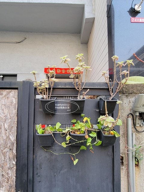 高雄住宿 高雄左營 九之一宅 瑞豐夜市 高雄巨蛋住宿 演唱會住宿 