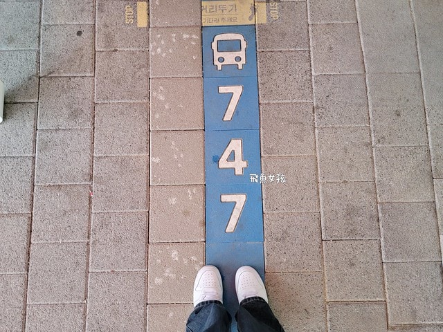 首爾到清州,首爾到清州市區,五松站到清州市區,KTX轉公車清州,首爾到清州機場,首爾到清州交通,首爾到清州ktx,首爾到清州機場巴士,首爾到清州巴士,清州機場交通方式#,清州到首爾,清州到首爾dcard,清州到首爾ktx,清州自由行,清州高速巴士站,清州三天兩夜,清州自由行dcard,清州四天三夜,清州 首爾 巴士,清州機場高速巴士