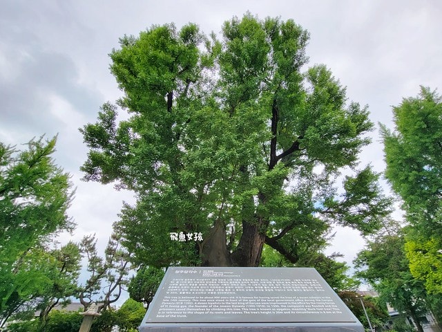 黑暗榮耀 棋盤公園,清州到首爾,清州自由行,清州美食,清州機場,清州景點,清州中央市場,清州糖餅,清州三天兩夜,清州自由行dcard,清州四天三夜,清州 首爾 巴士,清州機場高速巴士,清州自由行ptt,清州 四天三夜,韓國清州三天兩夜,清州自由行交通,清州3天2夜,黑暗榮耀拍攝地,黑暗榮耀劇情,清州中央公園怎麼去,清州中央公園鴨腳樹,清州中央公園韓劇場景,清州免費景點推薦,청주 중앙공원,清州景點推薦,清州自由行行程