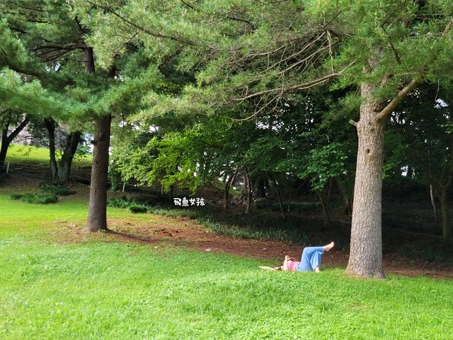 청주상당산성,清州上黨山城,上黨山城自由行,清州景點推薦,清州歷史,청주,清州自由行dcard,清州四天三夜,清州 四天三夜,韓國清州三天兩夜#,清州旅遊dcard,清州自由行,清州景點,清州交通,上黨山城,上黨山城 交通,上黨山城 韓文,上黨山城 公車,清州 上黨山城,上黨山城 美食