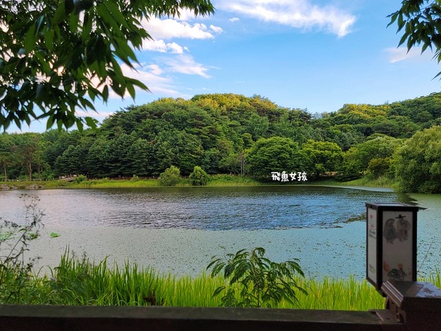 청주상당산성,清州上黨山城,上黨山城自由行,清州景點推薦,清州歷史,청주,清州自由行dcard,清州四天三夜,清州 四天三夜,韓國清州三天兩夜,清州旅遊dcard,清州自由行,清州景點,清州交通,上黨山城,上黨山城 交通,上黨山城 韓文,上黨山城 公車,清州 上黨山城,上黨山城 美食,清州秘境,韓屋咖啡廳,清州韓屋村,清州咖啡推薦,韓國古城 ,鹽麵包必吃,清州打卡景點,自然島鹽麵包,韓國鹽麵包