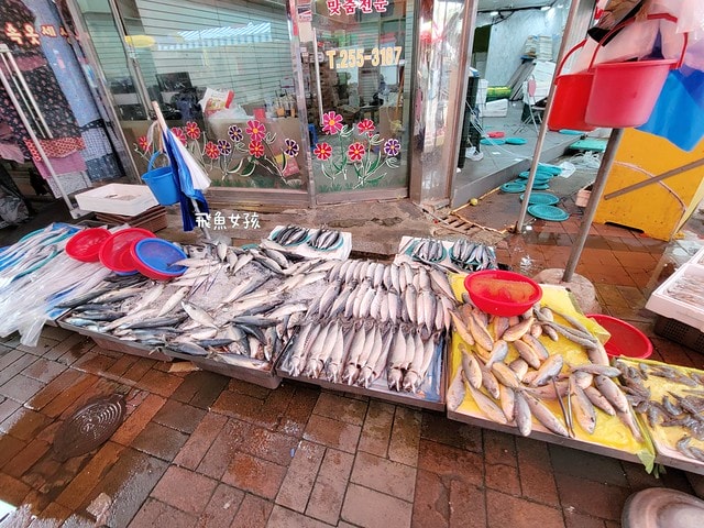 清州육거리종합시장,清州夜市,청주전통시장,清州美食市場,清州市場推薦,清州市場,清州六街市場,六街綜合市場必買,六街綜合市場海苔,清州西門市場,清州五花肉一條街,清州自由行 Dcard,清州四天三夜,清州 四天三夜,韓國清州三天兩夜,清州旅遊dcard,清州自由行,清州景點,清州美食,清州交通