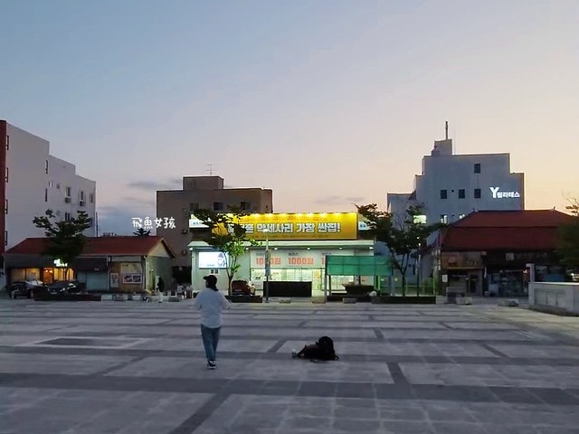 她的日與夜,她的日與夜鄭恩地,日與夜的她鄭恩地,清州到首爾交通,清州 到首爾 PTT,清州b3公車時刻表,清州 四天三夜,清州自由行dcard,清州自由行 dcard,清州景點,清州站,舊清州站公園,清州火車站,清州,清州博物館,易斯達航空紅眼班機,清州機場怎麼去首爾,清州機場交通方式,韓國清州機場巴士,首爾到清州機場多久,清州機場到首爾高速巴士,清州到首爾,清州到首爾要多久,清州到首爾dcard,清州到首爾巴士,清州高速巴士客運站,清州到首爾巴士時間,清州到首爾ktx,清州機場到五松站,首爾到清州機場巴士