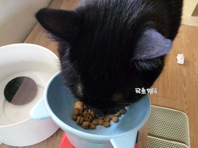 美國原點Instinct評價,美國飼料領導品牌,WDJ飼料,WDJ推薦,原點凍乾推薦嗎,鮮肉凍乾飼料開箱,天然生肉凍乾開箱,高適口性飼料推薦,進口凍乾開箱,原點飼料,無穀飼料,貓凍乾開箱,原點貓咪適口性,原點狗飼料dcard,頂級貓咪凍乾分享,貓咪主食凍乾推薦,挑嘴貓凍乾飼料推薦,純肉塊貓凍乾推薦,原點雞肉凍乾ptt,原點貓飼料dcard,instinct原點ptt 美國原點Instinct評價,美國飼料領導品牌,WDJ飼料,WDJ推薦,原點凍乾推薦嗎,鮮肉凍乾飼料開箱,天然生肉凍乾開箱,高適口性飼料推薦,進口凍乾開箱,原點飼料,無穀飼料,貓凍乾開箱,原點貓咪適口性,原點狗飼料dcard,頂級貓咪凍乾分享,貓咪主食凍乾推薦,挑嘴貓凍乾飼料推薦,純肉塊貓凍乾推薦,原點雞肉凍乾ptt,原點貓飼料dcard,instinct原點ptt