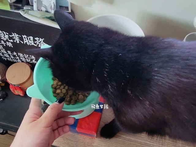 美國原點Instinct評價,美國飼料領導品牌,WDJ飼料,WDJ推薦,原點凍乾推薦嗎,鮮肉凍乾飼料開箱,天然生肉凍乾開箱,高適口性飼料推薦,進口凍乾開箱,原點飼料,無穀飼料,貓凍乾開箱,原點貓咪適口性,原點狗飼料dcard,頂級貓咪凍乾分享,貓咪主食凍乾推薦,挑嘴貓凍乾飼料推薦,純肉塊貓凍乾推薦,原點雞肉凍乾ptt,原點貓飼料dcard,instinct原點ptt 美國原點Instinct評價,美國飼料領導品牌,WDJ飼料,WDJ推薦,原點凍乾推薦嗎,鮮肉凍乾飼料開箱,天然生肉凍乾開箱,高適口性飼料推薦,進口凍乾開箱,原點飼料,無穀飼料,貓凍乾開箱,原點貓咪適口性,原點狗飼料dcard,頂級貓咪凍乾分享,貓咪主食凍乾推薦,挑嘴貓凍乾飼料推薦,純肉塊貓凍乾推薦,原點雞肉凍乾ptt,原點貓飼料dcard,instinct原點ptt