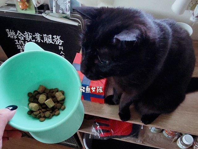 美國原點Instinct評價,美國飼料領導品牌,WDJ飼料,WDJ推薦,原點凍乾推薦嗎,鮮肉凍乾飼料開箱,天然生肉凍乾開箱,高適口性飼料推薦,進口凍乾開箱,原點飼料,無穀飼料,貓凍乾開箱,原點貓咪適口性,原點狗飼料dcard,頂級貓咪凍乾分享,貓咪主食凍乾推薦,挑嘴貓凍乾飼料推薦,純肉塊貓凍乾推薦,原點雞肉凍乾ptt,原點貓飼料dcard,instinct原點ptt 美國原點Instinct評價,美國飼料領導品牌,WDJ飼料,WDJ推薦,原點凍乾推薦嗎,鮮肉凍乾飼料開箱,天然生肉凍乾開箱,高適口性飼料推薦,進口凍乾開箱,原點飼料,無穀飼料,貓凍乾開箱,原點貓咪適口性,原點狗飼料dcard,頂級貓咪凍乾分享,貓咪主食凍乾推薦,挑嘴貓凍乾飼料推薦,純肉塊貓凍乾推薦,原點雞肉凍乾ptt,原點貓飼料dcard,instinct原點ptt