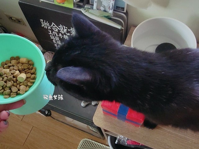 美國原點Instinct評價,美國飼料領導品牌,WDJ飼料,WDJ推薦,原點凍乾推薦嗎,鮮肉凍乾飼料開箱,天然生肉凍乾開箱,高適口性飼料推薦,進口凍乾開箱,原點飼料,無穀飼料,貓凍乾開箱,原點貓咪適口性,原點狗飼料dcard,頂級貓咪凍乾分享,貓咪主食凍乾推薦,挑嘴貓凍乾飼料推薦,純肉塊貓凍乾推薦,原點雞肉凍乾ptt,原點貓飼料dcard,instinct原點ptt 美國原點Instinct評價,美國飼料領導品牌,WDJ飼料,WDJ推薦,原點凍乾推薦嗎,鮮肉凍乾飼料開箱,天然生肉凍乾開箱,高適口性飼料推薦,進口凍乾開箱,原點飼料,無穀飼料,貓凍乾開箱,原點貓咪適口性,原點狗飼料dcard,頂級貓咪凍乾分享,貓咪主食凍乾推薦,挑嘴貓凍乾飼料推薦,純肉塊貓凍乾推薦,原點雞肉凍乾ptt,原點貓飼料dcard,instinct原點ptt