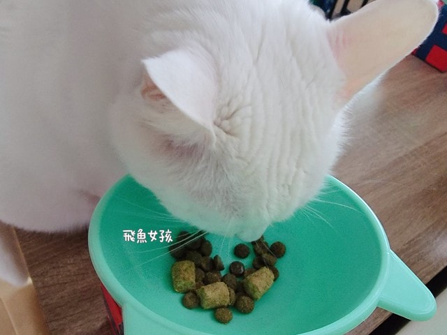 美國原點Instinct評價,美國飼料領導品牌,WDJ飼料,WDJ推薦,原點凍乾推薦嗎,鮮肉凍乾飼料開箱,天然生肉凍乾開箱,高適口性飼料推薦,進口凍乾開箱,原點飼料,無穀飼料,貓凍乾開箱,原點貓咪適口性,原點狗飼料dcard,頂級貓咪凍乾分享,貓咪主食凍乾推薦,挑嘴貓凍乾飼料推薦,純肉塊貓凍乾推薦,原點雞肉凍乾ptt,原點貓飼料dcard,instinct原點ptt 美國原點Instinct評價,美國飼料領導品牌,WDJ飼料,WDJ推薦,原點凍乾推薦嗎,鮮肉凍乾飼料開箱,天然生肉凍乾開箱,高適口性飼料推薦,進口凍乾開箱,原點飼料,無穀飼料,貓凍乾開箱,原點貓咪適口性,原點狗飼料dcard,頂級貓咪凍乾分享,貓咪主食凍乾推薦,挑嘴貓凍乾飼料推薦,純肉塊貓凍乾推薦,原點雞肉凍乾ptt,原點貓飼料dcard,instinct原點ptt