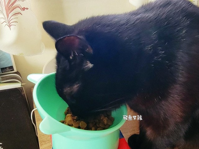 美國原點Instinct評價,美國飼料領導品牌,WDJ飼料,WDJ推薦,原點凍乾推薦嗎,鮮肉凍乾飼料開箱,天然生肉凍乾開箱,高適口性飼料推薦,進口凍乾開箱,原點飼料,無穀飼料,貓凍乾開箱,原點貓咪適口性,原點狗飼料dcard,頂級貓咪凍乾分享,貓咪主食凍乾推薦,挑嘴貓凍乾飼料推薦,純肉塊貓凍乾推薦,原點雞肉凍乾ptt,原點貓飼料dcard,instinct原點ptt 美國原點Instinct評價,美國飼料領導品牌,WDJ飼料,WDJ推薦,原點凍乾推薦嗎,鮮肉凍乾飼料開箱,天然生肉凍乾開箱,高適口性飼料推薦,進口凍乾開箱,原點飼料,無穀飼料,貓凍乾開箱,原點貓咪適口性,原點狗飼料dcard,頂級貓咪凍乾分享,貓咪主食凍乾推薦,挑嘴貓凍乾飼料推薦,純肉塊貓凍乾推薦,原點雞肉凍乾ptt,原點貓飼料dcard,instinct原點ptt