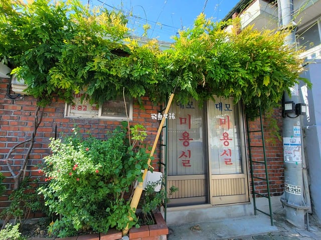 大邱景點,大邱自由行,大邱自由行2025,大邱景點推薦,大邱蘋果,近代文化胡同,大邱近代文化胡同 交通,大邱近代文化胡同,大邱近代文化胡同路線,近代文化胡同 韓文,近代文化 巷 弄 之旅,近代文化胡同路線,青蘿坡,大邱青蘿坡,大邱桂山聖堂,苦盡柑來遇見你拍攝地,金秘書為何那樣拍攝地,東山 青 蘿 坡,大邱 青蘿坡,大邱 教堂,大邱31萬歲運動路,大邱近代胡同(31運動路、青蘿之丘、桂山洞聖堂、大邱第一教會),大邱近代胡同31運動路青蘿之丘桂山洞聖堂大邱第一教會,大邱一日遊dcard,大邱三天兩夜 Dcard,大邱景點dcard