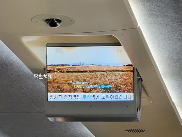 大邱到釜山,大邱到釜山多久,大邱到釜山ktx價格,大邱到釜山dcard,大邱到釜山火車,釜山到大邱一日遊,大邱到釜山時間,大邱到釜山交通,大邱到釜山ktx,大邱釜山自由行,釜山大邱行程,大邱機場 Dcard,釜山 如何 到大邱,大邱到釜山srt,大邱自由行dcard,大邱一日遊dcard,大邱釜山自由行dcard,大邱景點,ktx東大邱站,大邱ktx