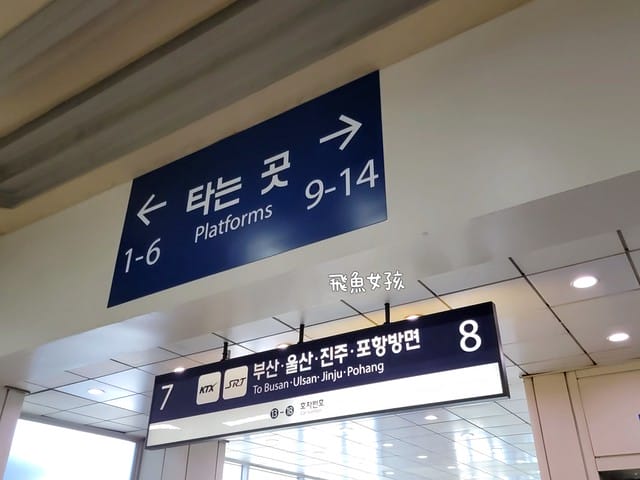 大邱到釜山,大邱到釜山多久,大邱到釜山ktx價格,大邱到釜山dcard,大邱到釜山火車,釜山到大邱一日遊,大邱到釜山時間,大邱到釜山交通,大邱到釜山ktx,大邱釜山自由行,釜山大邱行程,大邱機場 Dcard,釜山 如何 到大邱,大邱到釜山srt,大邱自由行dcard,大邱一日遊dcard,大邱釜山自由行dcard,大邱景點,ktx東大邱站,大邱ktx