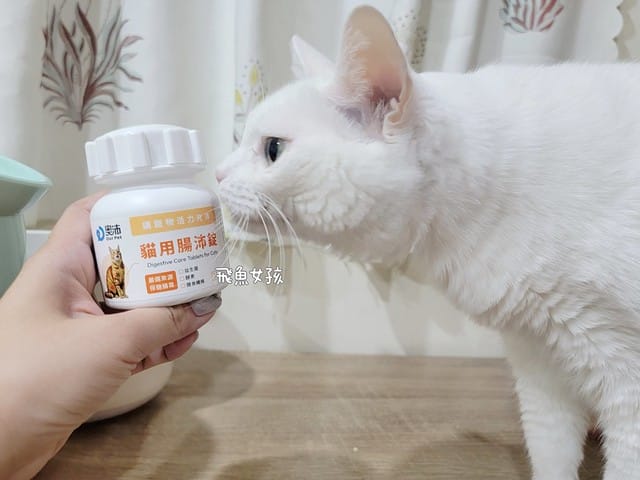 奧沛,OurPet,寵物活力充沛,跟著飼料丟一顆,適口性極好,0人工香料,CP值高,奧沛OurPet腸沛錠,貓咪腸胃保健食品推薦,奧沛貓用關沛錠,奧沛 ourpet的評論,奧沛dcard,ourpet 奧沛 貓用關沛錠,貓咪益生菌推薦,貓咪腸胃益生菌,貓咪腸胃敏感飼料dcard,貓咪 腸胃保健 Dcard,貓咪腸胃保健食品,貓咪益生菌dcard,貓益生菌