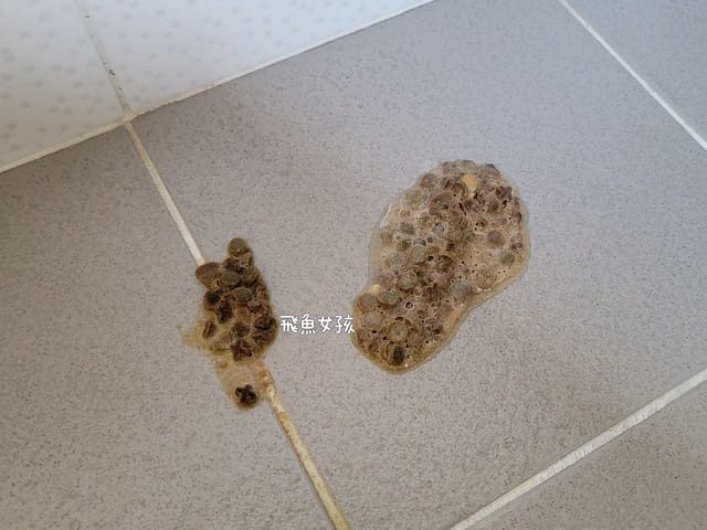 奧沛,OurPet,寵物活力充沛,跟著飼料丟一顆,適口性極好,0人工香料,CP值高,奧沛OurPet腸沛錠,貓咪腸胃保健食品推薦,奧沛貓用關沛錠,奧沛 ourpet的評論,奧沛dcard,ourpet 奧沛 貓用關沛錠,貓咪益生菌推薦,貓咪腸胃益生菌,貓咪腸胃敏感飼料dcard,貓咪 腸胃保健 Dcard,貓咪腸胃保健食品,貓咪益生菌dcard,貓益生菌