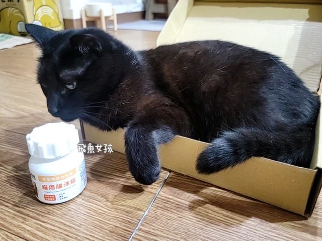 奧沛,OurPet,寵物活力充沛,跟著飼料丟一顆,適口性極好,0人工香料,CP值高,奧沛OurPet腸沛錠,貓咪腸胃保健食品推薦,奧沛貓用關沛錠,奧沛 ourpet的評論,奧沛dcard,ourpet 奧沛 貓用關沛錠,貓咪益生菌推薦,貓咪腸胃益生菌,貓咪腸胃敏感飼料dcard,貓咪 腸胃保健 Dcard,貓咪腸胃保健食品,貓咪益生菌dcard,貓益生菌