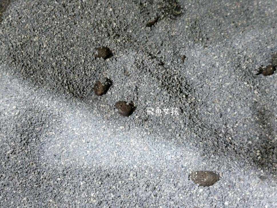 奧沛,OurPet,寵物活力充沛,跟著飼料丟一顆,適口性極好,0人工香料,CP值高,奧沛OurPet腸沛錠,貓咪腸胃保健食品推薦,奧沛貓用關沛錠,奧沛 ourpet的評論,奧沛dcard,ourpet 奧沛 貓用關沛錠,貓咪益生菌推薦,貓咪腸胃益生菌,貓咪腸胃敏感飼料dcard,貓咪 腸胃保健 Dcard,貓咪腸胃保健食品,貓咪益生菌dcard,貓益生菌