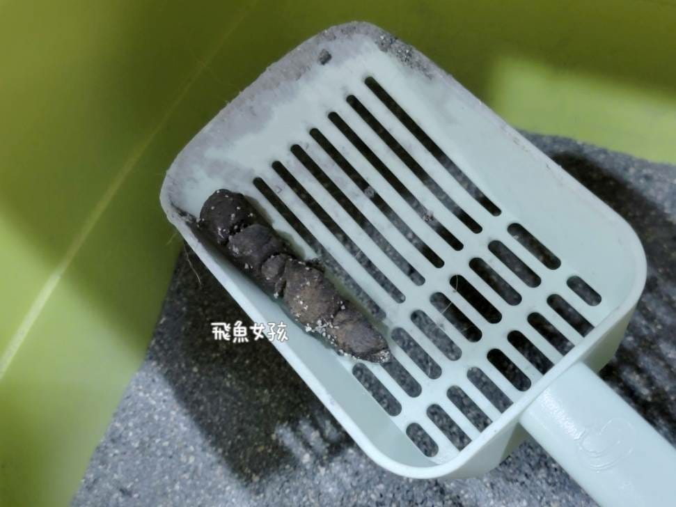 奧沛,OurPet,寵物活力充沛,跟著飼料丟一顆,適口性極好,0人工香料,CP值高,奧沛OurPet腸沛錠,貓咪腸胃保健食品推薦,奧沛貓用關沛錠,奧沛 ourpet的評論,奧沛dcard,ourpet 奧沛 貓用關沛錠,貓咪益生菌推薦,貓咪腸胃益生菌,貓咪腸胃敏感飼料dcard,貓咪 腸胃保健 Dcard,貓咪腸胃保健食品,貓咪益生菌dcard,貓益生菌