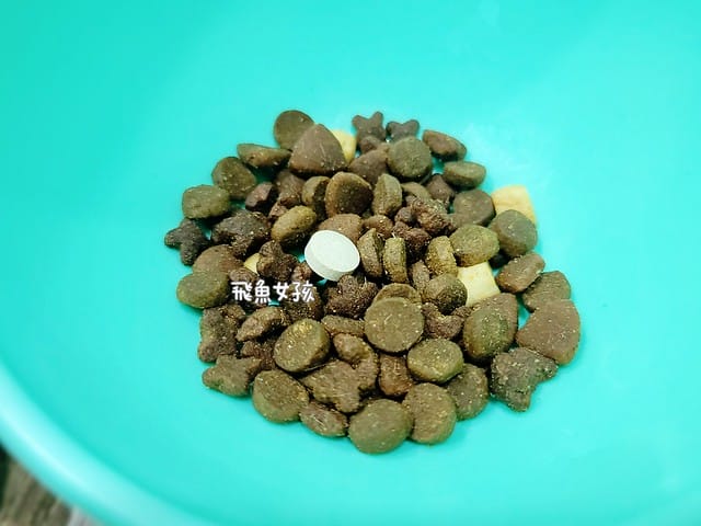 奧沛,OurPet,寵物活力充沛,跟著飼料丟一顆,適口性極好,0人工香料,CP值高,奧沛OurPet腸沛錠,貓咪腸胃保健食品推薦,奧沛貓用關沛錠,奧沛 ourpet的評論,奧沛dcard,ourpet 奧沛 貓用關沛錠,貓咪益生菌推薦,貓咪腸胃益生菌,貓咪腸胃敏感飼料dcard,貓咪 腸胃保健 Dcard,貓咪腸胃保健食品,貓咪益生菌dcard,貓益生菌