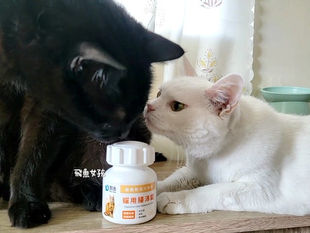 奧沛,OurPet,寵物活力充沛,跟著飼料丟一顆,適口性極好,0人工香料,CP值高,奧沛OurPet腸沛錠,貓咪腸胃保健食品推薦,奧沛貓用關沛錠,奧沛 ourpet的評論,奧沛dcard,ourpet 奧沛 貓用關沛錠,貓咪益生菌推薦,貓咪腸胃益生菌,貓咪腸胃敏感飼料dcard,貓咪 腸胃保健 Dcard,貓咪腸胃保健食品,貓咪益生菌dcard,貓益生菌