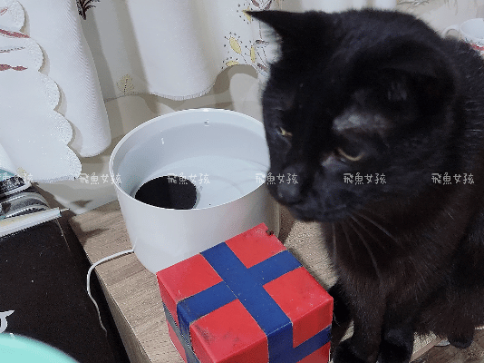 奧沛,OurPet,寵物活力充沛,跟著飼料丟一顆,適口性極好,0人工香料,CP值高,奧沛OurPet腸沛錠,貓咪腸胃保健食品推薦,奧沛貓用關沛錠,奧沛 ourpet的評論,奧沛dcard,ourpet 奧沛 貓用關沛錠,貓咪益生菌推薦,貓咪腸胃益生菌,貓咪腸胃敏感飼料dcard,貓咪 腸胃保健 Dcard,貓咪腸胃保健食品,貓咪益生菌dcard,貓益生菌