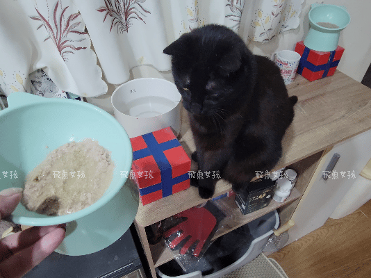 可沛寵藥評價,好泌活評價,好泌活有效嗎,寵物泌尿保健怎麼選,寵物泌尿保健吃什麼,貓狗泌尿保健推薦,貓狗機能保健推薦,貓狗結紮保健推薦,貓狗泌尿道營養補充,貓狗舒壓保健推薦,貓咪情緒穩定推薦,狗狗焦慮舒緩推薦,可沛寵藥ptt,貓咪泌尿道保健,貓咪泌尿道問題,貓咪泌尿保健dcard,貓 蔓 越 莓 Dcard,貓咪泌尿道感染,貓咪尿道炎會自己好嗎,貓咪喝水量,熟齡貓保養,貓咪保養品推薦,貓咪保健食品ptt,貓咪保健食品dcard 可沛寵藥評價,好泌活評價,好泌活有效嗎,寵物泌尿保健怎麼選,寵物泌尿保健吃什麼,貓狗泌尿保健推薦,貓狗機能保健推薦,貓狗結紮保健推薦,貓狗泌尿道營養補充,貓狗舒壓保健推薦,貓咪情緒穩定推薦,狗狗焦慮舒緩推薦,可沛寵藥ptt,貓咪泌尿道保健,貓咪泌尿道問題,貓咪泌尿保健dcard,貓 蔓 越 莓 Dcard,貓咪泌尿道感染,貓咪尿道炎會自己好嗎,貓咪喝水量,熟齡貓保養,貓咪保養品推薦,貓咪保健食品ptt,貓咪保健食品dcard