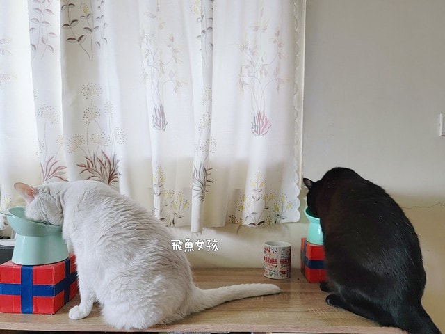 可沛寵藥評價,好泌活評價,好泌活有效嗎,寵物泌尿保健怎麼選,寵物泌尿保健吃什麼,貓狗泌尿保健推薦,貓狗機能保健推薦,貓狗結紮保健推薦,貓狗泌尿道營養補充,貓狗舒壓保健推薦,貓咪情緒穩定推薦,狗狗焦慮舒緩推薦,可沛寵藥ptt,貓咪泌尿道保健,貓咪泌尿道問題,貓咪泌尿保健dcard,貓 蔓 越 莓 Dcard,貓咪泌尿道感染,貓咪尿道炎會自己好嗎,貓咪喝水量,熟齡貓保養,貓咪保養品推薦,貓咪保健食品ptt,貓咪保健食品dcard 可沛寵藥評價,好泌活評價,好泌活有效嗎,寵物泌尿保健怎麼選,寵物泌尿保健吃什麼,貓狗泌尿保健推薦,貓狗機能保健推薦,貓狗結紮保健推薦,貓狗泌尿道營養補充,貓狗舒壓保健推薦,貓咪情緒穩定推薦,狗狗焦慮舒緩推薦,可沛寵藥ptt,貓咪泌尿道保健,貓咪泌尿道問題,貓咪泌尿保健dcard,貓 蔓 越 莓 Dcard,貓咪泌尿道感染,貓咪尿道炎會自己好嗎,貓咪喝水量,熟齡貓保養,貓咪保養品推薦,貓咪保健食品ptt,貓咪保健食品dcard