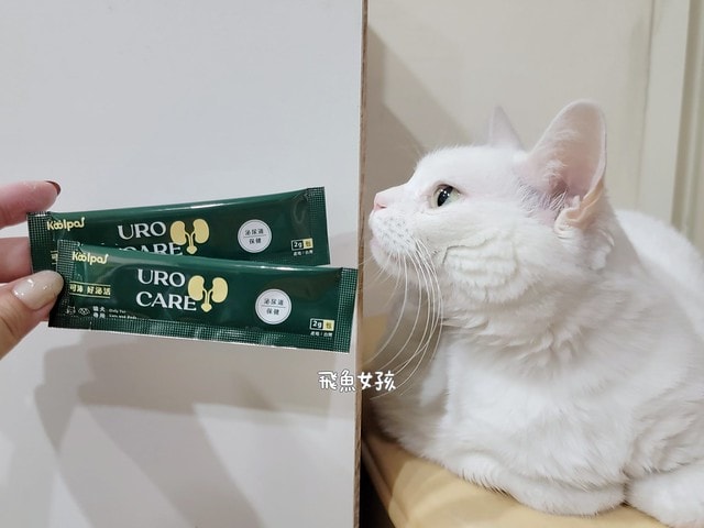 可沛寵藥評價,好泌活評價,好泌活有效嗎,寵物泌尿保健怎麼選,寵物泌尿保健吃什麼,貓狗泌尿保健推薦,貓狗機能保健推薦,貓狗結紮保健推薦,貓狗泌尿道營養補充,貓狗舒壓保健推薦,貓咪情緒穩定推薦,狗狗焦慮舒緩推薦,可沛寵藥ptt,貓咪泌尿道保健,貓咪泌尿道問題,貓咪泌尿保健dcard,貓 蔓 越 莓 Dcard,貓咪泌尿道感染,貓咪尿道炎會自己好嗎,貓咪喝水量,熟齡貓保養,貓咪保養品推薦,貓咪保健食品ptt,貓咪保健食品dcard 可沛寵藥評價,好泌活評價,好泌活有效嗎,寵物泌尿保健怎麼選,寵物泌尿保健吃什麼,貓狗泌尿保健推薦,貓狗機能保健推薦,貓狗結紮保健推薦,貓狗泌尿道營養補充,貓狗舒壓保健推薦,貓咪情緒穩定推薦,狗狗焦慮舒緩推薦,可沛寵藥ptt,貓咪泌尿道保健,貓咪泌尿道問題,貓咪泌尿保健dcard,貓 蔓 越 莓 Dcard,貓咪泌尿道感染,貓咪尿道炎會自己好嗎,貓咪喝水量,熟齡貓保養,貓咪保養品推薦,貓咪保健食品ptt,貓咪保健食品dcard