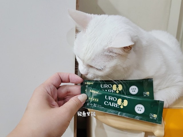 可沛寵藥評價,好泌活評價,好泌活有效嗎,寵物泌尿保健怎麼選,寵物泌尿保健吃什麼,貓狗泌尿保健推薦,貓狗機能保健推薦,貓狗結紮保健推薦,貓狗泌尿道營養補充,貓狗舒壓保健推薦,貓咪情緒穩定推薦,狗狗焦慮舒緩推薦,可沛寵藥ptt,貓咪泌尿道保健,貓咪泌尿道問題,貓咪泌尿保健dcard,貓 蔓 越 莓 Dcard,貓咪泌尿道感染,貓咪尿道炎會自己好嗎,貓咪喝水量,熟齡貓保養,貓咪保養品推薦,貓咪保健食品ptt,貓咪保健食品dcard 可沛寵藥評價,好泌活評價,好泌活有效嗎,寵物泌尿保健怎麼選,寵物泌尿保健吃什麼,貓狗泌尿保健推薦,貓狗機能保健推薦,貓狗結紮保健推薦,貓狗泌尿道營養補充,貓狗舒壓保健推薦,貓咪情緒穩定推薦,狗狗焦慮舒緩推薦,可沛寵藥ptt,貓咪泌尿道保健,貓咪泌尿道問題,貓咪泌尿保健dcard,貓 蔓 越 莓 Dcard,貓咪泌尿道感染,貓咪尿道炎會自己好嗎,貓咪喝水量,熟齡貓保養,貓咪保養品推薦,貓咪保健食品ptt,貓咪保健食品dcard