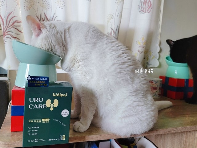 可沛寵藥評價,好泌活評價,好泌活有效嗎,寵物泌尿保健怎麼選,寵物泌尿保健吃什麼,貓狗泌尿保健推薦,貓狗機能保健推薦,貓狗結紮保健推薦,貓狗泌尿道營養補充,貓狗舒壓保健推薦,貓咪情緒穩定推薦,狗狗焦慮舒緩推薦,可沛寵藥ptt,貓咪泌尿道保健,貓咪泌尿道問題,貓咪泌尿保健dcard,貓 蔓 越 莓 Dcard,貓咪泌尿道感染,貓咪尿道炎會自己好嗎,貓咪喝水量,熟齡貓保養,貓咪保養品推薦,貓咪保健食品ptt,貓咪保健食品dcard 可沛寵藥評價,好泌活評價,好泌活有效嗎,寵物泌尿保健怎麼選,寵物泌尿保健吃什麼,貓狗泌尿保健推薦,貓狗機能保健推薦,貓狗結紮保健推薦,貓狗泌尿道營養補充,貓狗舒壓保健推薦,貓咪情緒穩定推薦,狗狗焦慮舒緩推薦,可沛寵藥ptt,貓咪泌尿道保健,貓咪泌尿道問題,貓咪泌尿保健dcard,貓 蔓 越 莓 Dcard,貓咪泌尿道感染,貓咪尿道炎會自己好嗎,貓咪喝水量,熟齡貓保養,貓咪保養品推薦,貓咪保健食品ptt,貓咪保健食品dcard