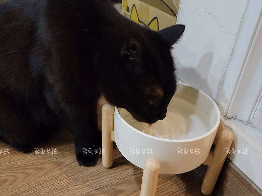 可沛寵藥評價,好泌活評價,好泌活有效嗎,寵物泌尿保健怎麼選,寵物泌尿保健吃什麼,貓狗泌尿保健推薦,貓狗機能保健推薦,貓狗結紮保健推薦,貓狗泌尿道營養補充,貓狗舒壓保健推薦,貓咪情緒穩定推薦,狗狗焦慮舒緩推薦,可沛寵藥ptt,貓咪泌尿道保健,貓咪泌尿道問題,貓咪泌尿保健dcard,貓 蔓 越 莓 Dcard,貓咪泌尿道感染,貓咪尿道炎會自己好嗎,貓咪喝水量,熟齡貓保養,貓咪保養品推薦,貓咪保健食品ptt,貓咪保健食品dcard 可沛寵藥評價,好泌活評價,好泌活有效嗎,寵物泌尿保健怎麼選,寵物泌尿保健吃什麼,貓狗泌尿保健推薦,貓狗機能保健推薦,貓狗結紮保健推薦,貓狗泌尿道營養補充,貓狗舒壓保健推薦,貓咪情緒穩定推薦,狗狗焦慮舒緩推薦,可沛寵藥ptt,貓咪泌尿道保健,貓咪泌尿道問題,貓咪泌尿保健dcard,貓 蔓 越 莓 Dcard,貓咪泌尿道感染,貓咪尿道炎會自己好嗎,貓咪喝水量,熟齡貓保養,貓咪保養品推薦,貓咪保健食品ptt,貓咪保健食品dcard