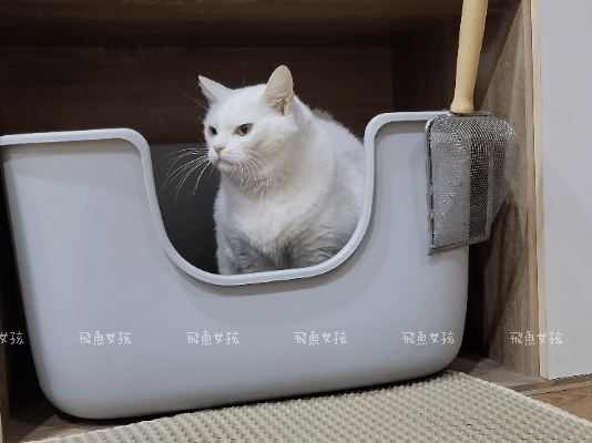 可沛寵藥評價,好泌活評價,好泌活有效嗎,寵物泌尿保健怎麼選,寵物泌尿保健吃什麼,貓狗泌尿保健推薦,貓狗機能保健推薦,貓狗結紮保健推薦,貓狗泌尿道營養補充,貓狗舒壓保健推薦,貓咪情緒穩定推薦,狗狗焦慮舒緩推薦,可沛寵藥ptt,貓咪泌尿道保健,貓咪泌尿道問題,貓咪泌尿保健dcard,貓 蔓 越 莓 Dcard,貓咪泌尿道感染,貓咪尿道炎會自己好嗎,貓咪喝水量,熟齡貓保養,貓咪保養品推薦,貓咪保健食品ptt,貓咪保健食品dcard 可沛寵藥評價,好泌活評價,好泌活有效嗎,寵物泌尿保健怎麼選,寵物泌尿保健吃什麼,貓狗泌尿保健推薦,貓狗機能保健推薦,貓狗結紮保健推薦,貓狗泌尿道營養補充,貓狗舒壓保健推薦,貓咪情緒穩定推薦,狗狗焦慮舒緩推薦,可沛寵藥ptt,貓咪泌尿道保健,貓咪泌尿道問題,貓咪泌尿保健dcard,貓 蔓 越 莓 Dcard,貓咪泌尿道感染,貓咪尿道炎會自己好嗎,貓咪喝水量,熟齡貓保養,貓咪保養品推薦,貓咪保健食品ptt,貓咪保健食品dcard