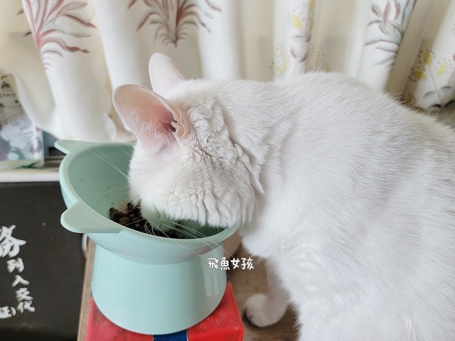 可沛寵藥評價,好泌活評價,好泌活有效嗎,寵物泌尿保健怎麼選,寵物泌尿保健吃什麼,貓狗泌尿保健推薦,貓狗機能保健推薦,貓狗結紮保健推薦,貓狗泌尿道營養補充,貓狗舒壓保健推薦,貓咪情緒穩定推薦,狗狗焦慮舒緩推薦,可沛寵藥ptt,貓咪泌尿道保健,貓咪泌尿道問題,貓咪泌尿保健dcard,貓 蔓 越 莓 Dcard,貓咪泌尿道感染,貓咪尿道炎會自己好嗎,貓咪喝水量,熟齡貓保養,貓咪保養品推薦,貓咪保健食品ptt,貓咪保健食品dcard 可沛寵藥評價,好泌活評價,好泌活有效嗎,寵物泌尿保健怎麼選,寵物泌尿保健吃什麼,貓狗泌尿保健推薦,貓狗機能保健推薦,貓狗結紮保健推薦,貓狗泌尿道營養補充,貓狗舒壓保健推薦,貓咪情緒穩定推薦,狗狗焦慮舒緩推薦,可沛寵藥ptt,貓咪泌尿道保健,貓咪泌尿道問題,貓咪泌尿保健dcard,貓 蔓 越 莓 Dcard,貓咪泌尿道感染,貓咪尿道炎會自己好嗎,貓咪喝水量,熟齡貓保養,貓咪保養品推薦,貓咪保健食品ptt,貓咪保健食品dcard