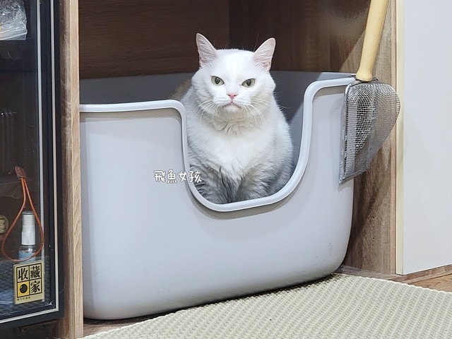 可沛寵藥評價,好泌活評價,好泌活有效嗎,寵物泌尿保健怎麼選,寵物泌尿保健吃什麼,貓狗泌尿保健推薦,貓狗機能保健推薦,貓狗結紮保健推薦,貓狗泌尿道營養補充,貓狗舒壓保健推薦,貓咪情緒穩定推薦,狗狗焦慮舒緩推薦,可沛寵藥ptt,貓咪泌尿道保健,貓咪泌尿道問題,貓咪泌尿保健dcard,貓 蔓 越 莓 Dcard,貓咪泌尿道感染,貓咪尿道炎會自己好嗎,貓咪喝水量,熟齡貓保養,貓咪保養品推薦,貓咪保健食品ptt,貓咪保健食品dcard 可沛寵藥評價,好泌活評價,好泌活有效嗎,寵物泌尿保健怎麼選,寵物泌尿保健吃什麼,貓狗泌尿保健推薦,貓狗機能保健推薦,貓狗結紮保健推薦,貓狗泌尿道營養補充,貓狗舒壓保健推薦,貓咪情緒穩定推薦,狗狗焦慮舒緩推薦,可沛寵藥ptt,貓咪泌尿道保健,貓咪泌尿道問題,貓咪泌尿保健dcard,貓 蔓 越 莓 Dcard,貓咪泌尿道感染,貓咪尿道炎會自己好嗎,貓咪喝水量,熟齡貓保養,貓咪保養品推薦,貓咪保健食品ptt,貓咪保健食品dcard