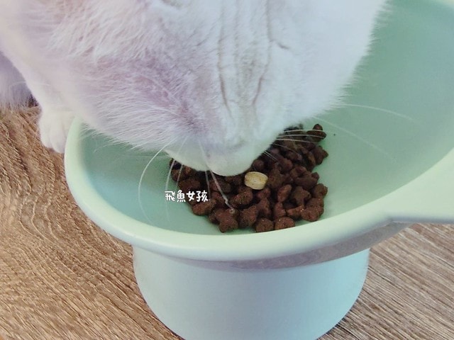 OurPet 奧沛 貓用膚沛錠評價,貓咪皮膚保健品推薦,貓咪掉毛怎麼辦,貓咪皮屑多,奧沛貓用膚沛錠,奧沛膚沛錠,OurPet奧沛,奧沛貓保養品,奧沛貓用膚沛錠評價,奧沛dcard,貓咪皮膚保養,貓咪皮膚保健ptt,貓咪皮膚保健食品dcard,貓咪皮膚保健食品,貓皮膚益生菌dcard,貓咪皮膚益生菌推薦,寵物皮膚益生菌推薦,貓咪抓癢掉毛,貓咪一直抓癢dcard,貓咪魚油dcard