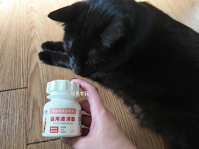 OurPet 奧沛 貓用膚沛錠評價,貓咪皮膚保健品推薦,貓咪掉毛怎麼辦,貓咪皮屑多,奧沛貓用膚沛錠,奧沛膚沛錠,OurPet奧沛,奧沛貓保養品,奧沛貓用膚沛錠評價,奧沛dcard,貓咪皮膚保養,貓咪皮膚保健ptt,貓咪皮膚保健食品dcard,貓咪皮膚保健食品,貓皮膚益生菌dcard,貓咪皮膚益生菌推薦,寵物皮膚益生菌推薦,貓咪抓癢掉毛,貓咪一直抓癢dcard,貓咪魚油dcard
