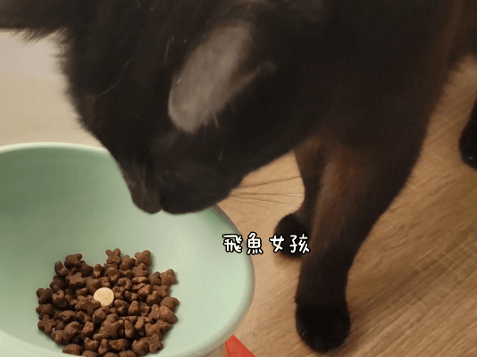 OurPet 奧沛 貓用膚沛錠評價,貓咪皮膚保健品推薦,貓咪掉毛怎麼辦,貓咪皮屑多,奧沛貓用膚沛錠,奧沛膚沛錠,OurPet奧沛,奧沛貓保養品,奧沛貓用膚沛錠評價,奧沛dcard,貓咪皮膚保養,貓咪皮膚保健ptt,貓咪皮膚保健食品dcard,貓咪皮膚保健食品,貓皮膚益生菌dcard,貓咪皮膚益生菌推薦,寵物皮膚益生菌推薦,貓咪抓癢掉毛,貓咪一直抓癢dcard,貓咪魚油dcard