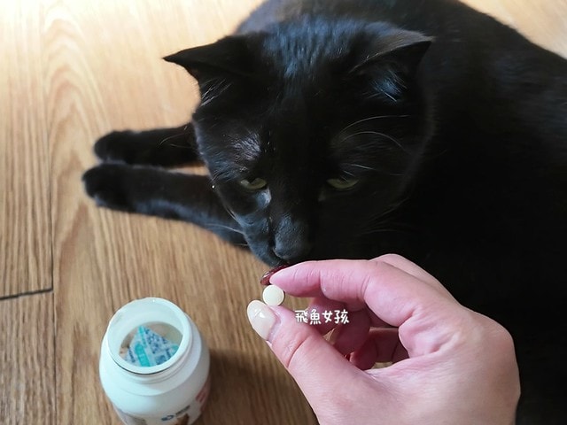 OurPet 奧沛 貓用膚沛錠評價,貓咪皮膚保健品推薦,貓咪掉毛怎麼辦,貓咪皮屑多,奧沛貓用膚沛錠,奧沛膚沛錠,OurPet奧沛,奧沛貓保養品,奧沛貓用膚沛錠評價,奧沛dcard,貓咪皮膚保養,貓咪皮膚保健ptt,貓咪皮膚保健食品dcard,貓咪皮膚保健食品,貓皮膚益生菌dcard,貓咪皮膚益生菌推薦,寵物皮膚益生菌推薦,貓咪抓癢掉毛,貓咪一直抓癢dcard,貓咪魚油dcard